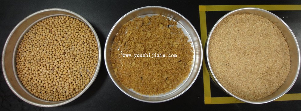 從左到右分別是：大豆、經(jīng)過膨化處理還未浸出的大豆料胚、豆粕
