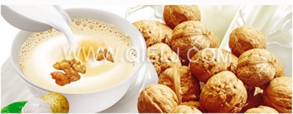 核桃深加工項目-核桃油設(shè)備生產(chǎn)商鄭州企鵝糧油(圖8)