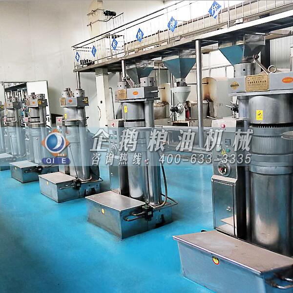 核桃油壓榨設(shè)備