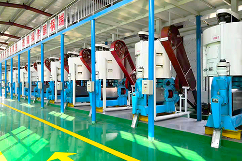 斯里蘭卡客戶(hù)500噸花生預(yù)榨浸出生產(chǎn)線(xiàn)