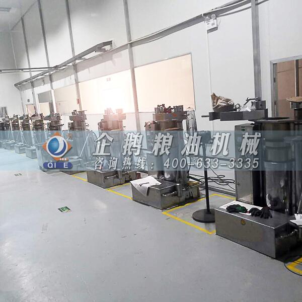 核桃油壓榨精煉設(shè)備